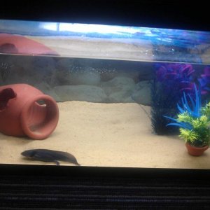Storms new home :D