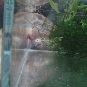 peekaboo!