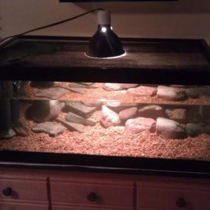 Better view of new set-up