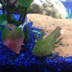 He likes his corner.