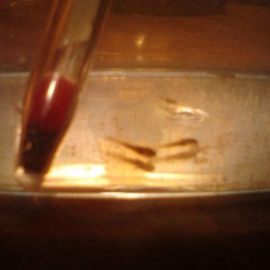 IMG 20121218 225214
