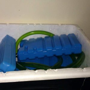Cooler Internal