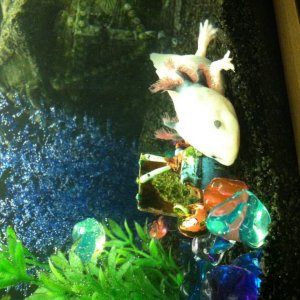 Me and Mr Crabs!