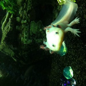 Hello mommy!