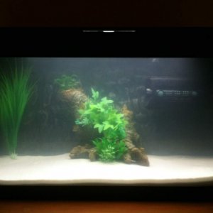 Just added the sand