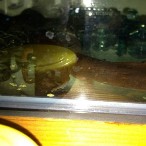 IMG 0871