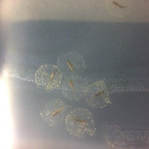 2012 10 13 01 29 54 703