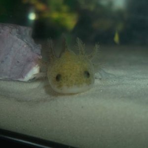 Oh hi!