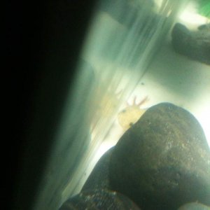 I see you!