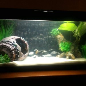 Tank looking pretty good :)
