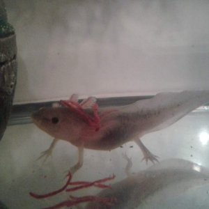 2013 01 30 20.21.52