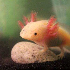 bloodworms? For me? (~5 months)