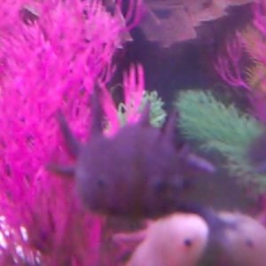 Video 49 0 00 41 28