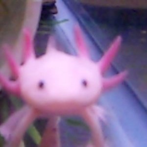 Video 49 0 01 33 10