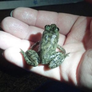The baby.  We haven't named him yet.