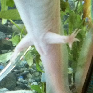 Help!? male or female???