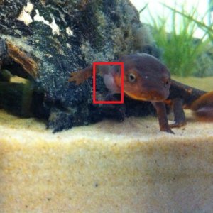 photo (1)