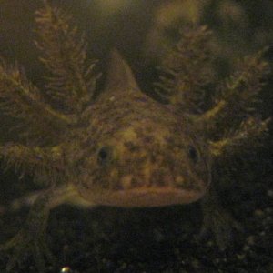 IMG 8485