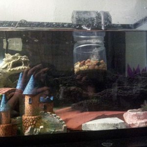 Axl's home