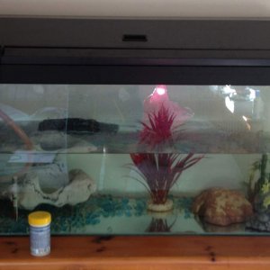 Tank 1