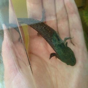 Desmond :)