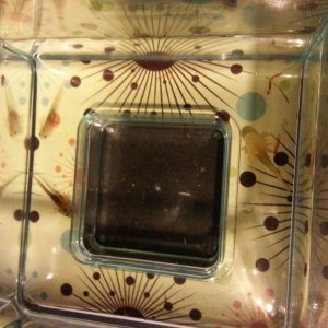 20130301 205554