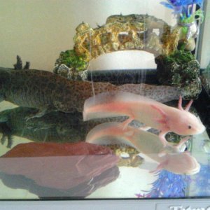 when i first moved them in together :P