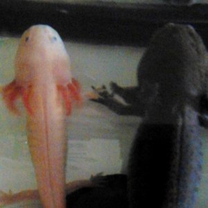 close up of the holding hands <3