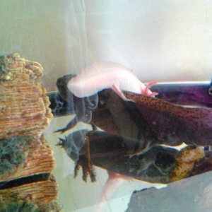 first day living together