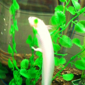 deli when she was a baby :)