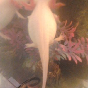 shes deffinatly ready to have babies