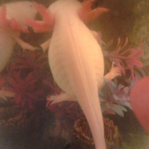 i dont over feed her ether lol