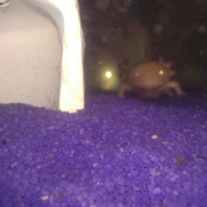 I see you!