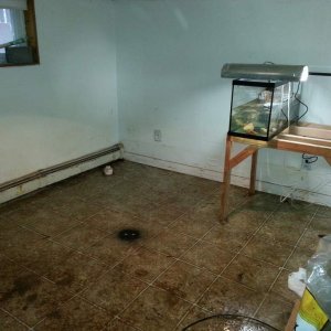 Salamander & Newt room. This a work in proggress.