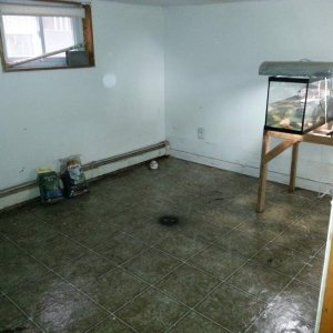Newt & Salamander room 2