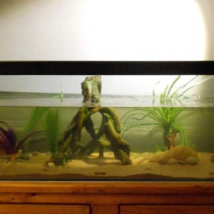 Their home :)