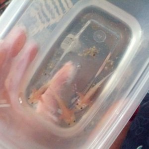 When I first got my lottls.