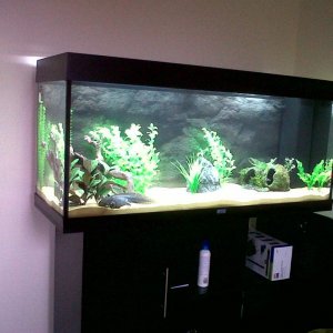 Evo's Current Home