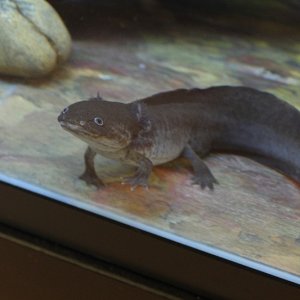 More of steve being photogenic c: