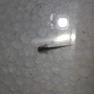 20130321 160328