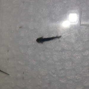 20130321 160349