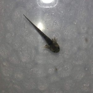 20130321 160418