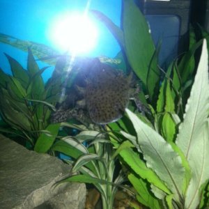 IMG 20121125 WA000