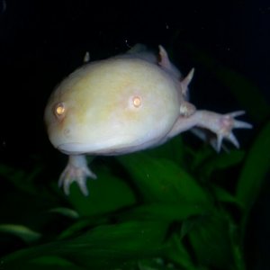 IMG 20121130 WA004