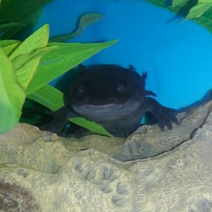 IMG 20121128 WA000