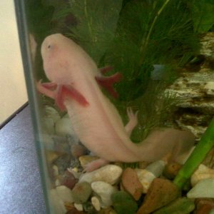 IMG 20121011 00058
