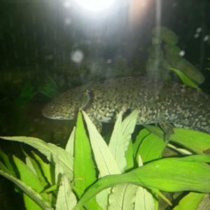 IMG 20121125 WA001