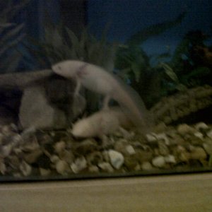 IMG 20121115 00154