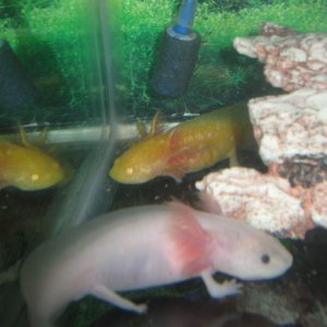 hi scaler and sunny!