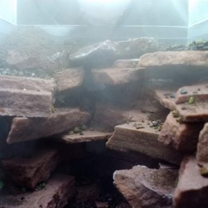 My initial set up: the stone is flagstone epoxied in place